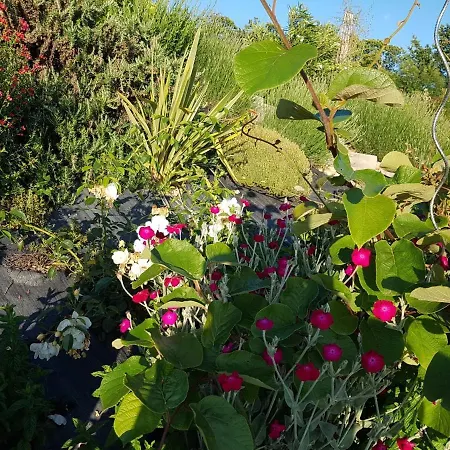 فيلة Grande Maison La Merasel *