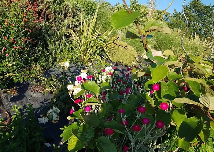 فيلة Grande Maison La Merasel *