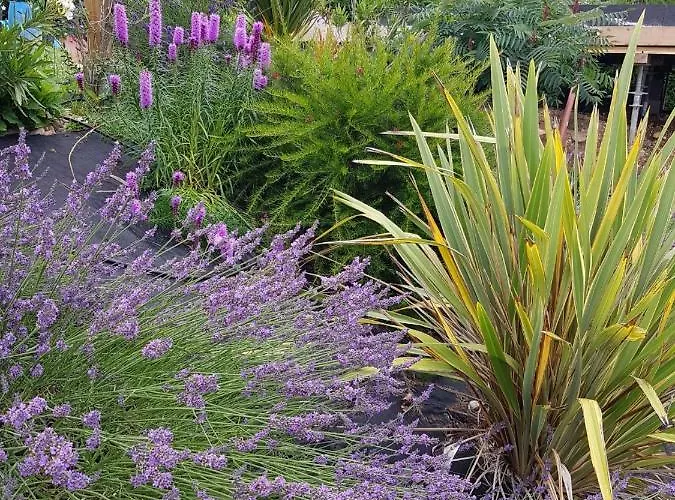 Grande Maison La Merasel فيلة *