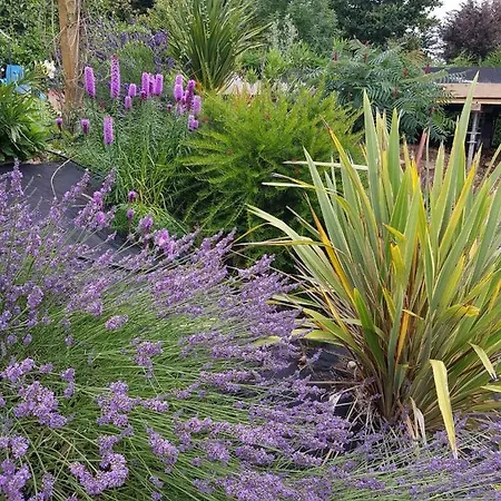 Grande Maison La Merasel Vila *