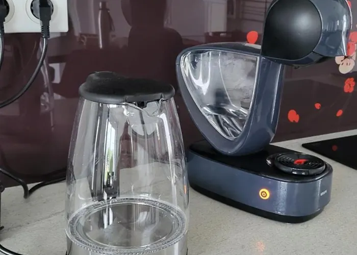 Grande Maison La Merasel